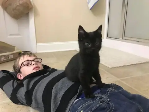 Jake holding a cute domestic cat close to his shoulder in a warm home environment, demonstrating dedicated care